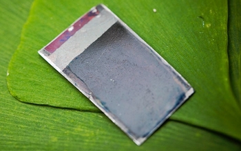 ���� ��������� ���� � �������