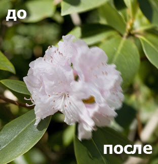 �������� ���������� ����� � �������