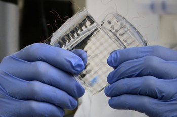 ������-���� ������� ��������� ������