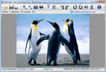 Free Clone Stamp Tool � ���������� ������� ��� �������������� �������� �������