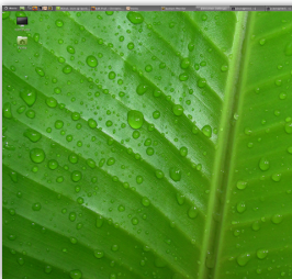 ����� ���������� ������ Cinnamon 1.2 � ������ �������� ����� ��� Linux
