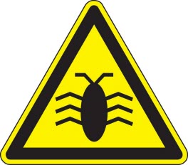 ��������������� ������������ ������� ����� �������� ��