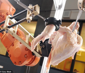 ����� ����� ������� ���������� �������� ��������