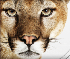 ������ ������ OS X 10.8 Mountain Lion ������ ���� 25 ����