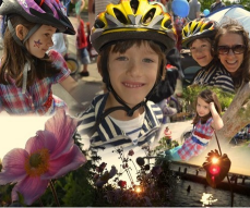 Microsoft ��������� ����� ������ ���������� ���������� Movie Maker � Photo Gallery