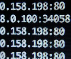 C����� Megaupload ���������� � ����� �������