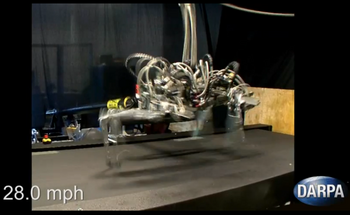 ������� ����� ������� ������ �������� �������� �� �������