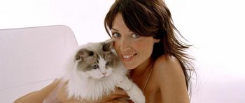 ���������� ����������� � ���� � �������� �������� ������������� � ������������