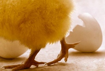 Windows Server 2012: ����������� ��������� ��� ������ ��������� ������