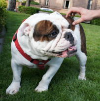 ������ ����� � ������ �������� �������������� ������