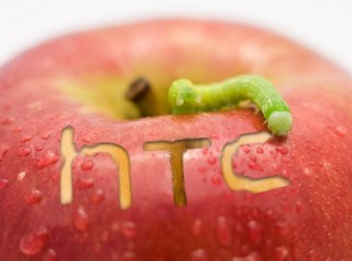 Apple � HTC ����������