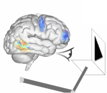 ������� ���������� ������ ������������� �����