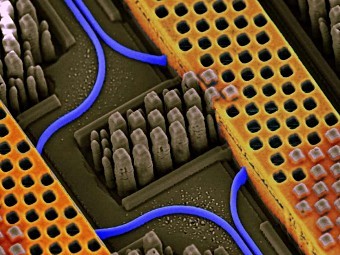 IBM ��������� �������� �������� ������ � ������� ����������� ����