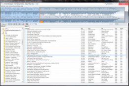 Resonicplayer � ���������� �����-������������� ��� OC Windows