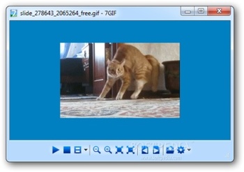 ������� GIF-�������� ����� � ������� ������� 7GIF