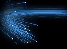 ���������� �������� �������� ������ 31 ����/� ��� �����