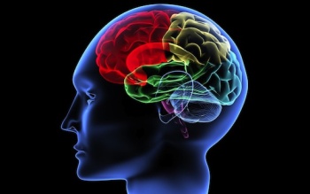 ��������� �������� ������ ����� ����� �� ����� ��������