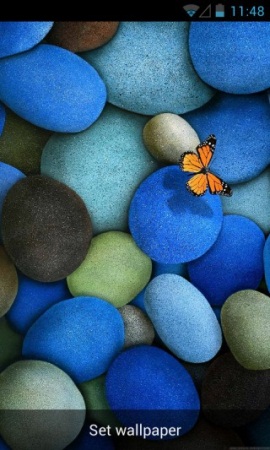 ����� �������� ���� �� ����� Android, ������ ��������� ���