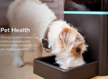 ����� �������� ������ � ���� ����������