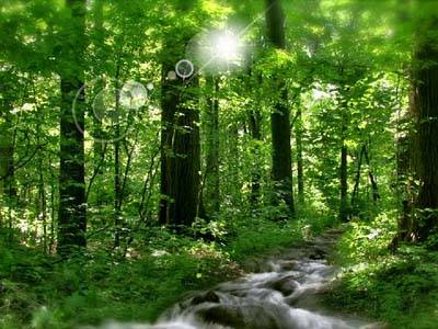 ������� Sunny River Screensaver