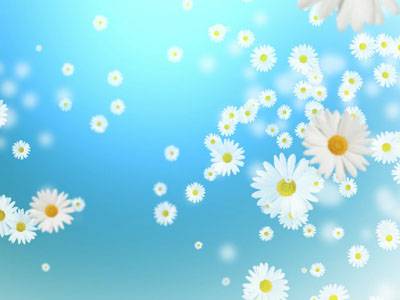  Flying Camomiles Screensaver