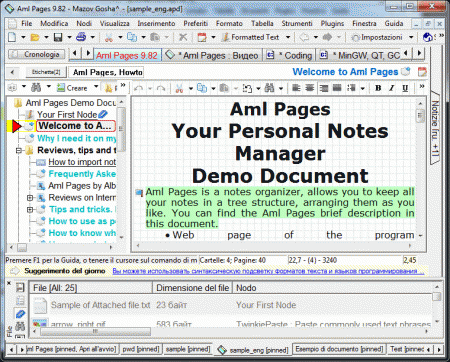  Aml Pages Italian Version