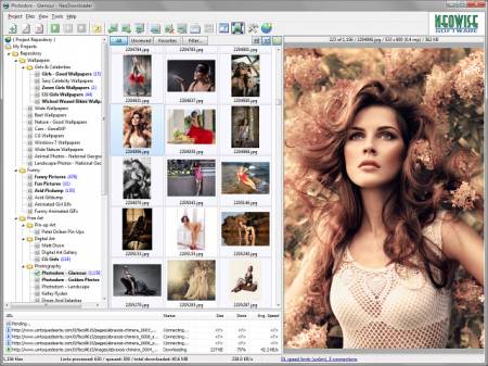 ������� NeoDownloader