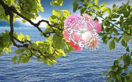 ������� Water Watcher Clock Live Wallpaper