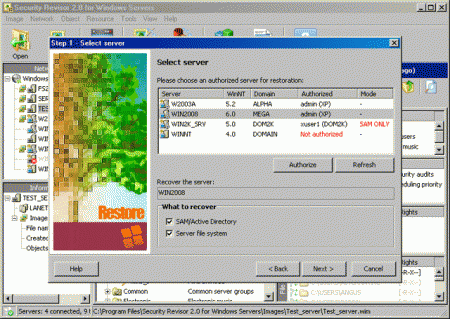  Security Revisor for Windows Servers