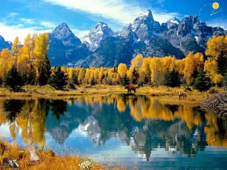  Autumn Fantasy ScreenSaver