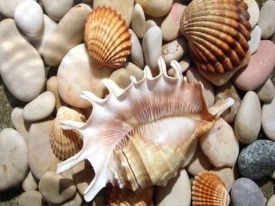  Live Pebble Screensaver