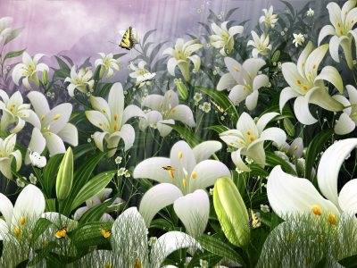  Butterflies World Screensaver