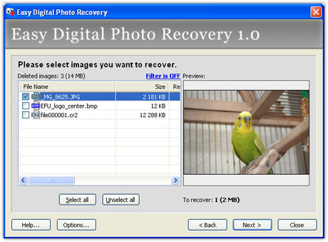  Easy Digital Photo Recovery