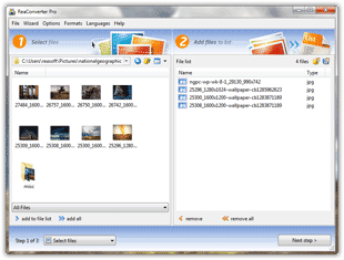 ������� ReaConverter