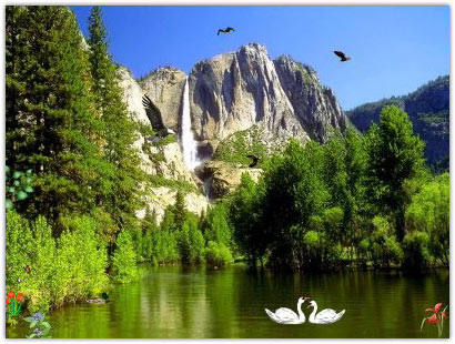  Eagles Kingdom Screensaver