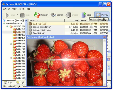 ������� Active@ UNDELETE Files