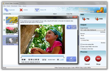  YoSock DVD Video Converter